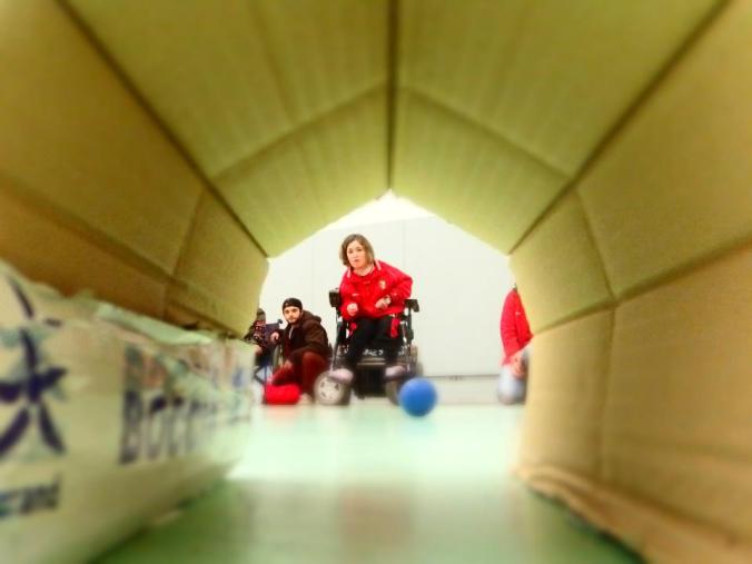 Alexis e prova técnica